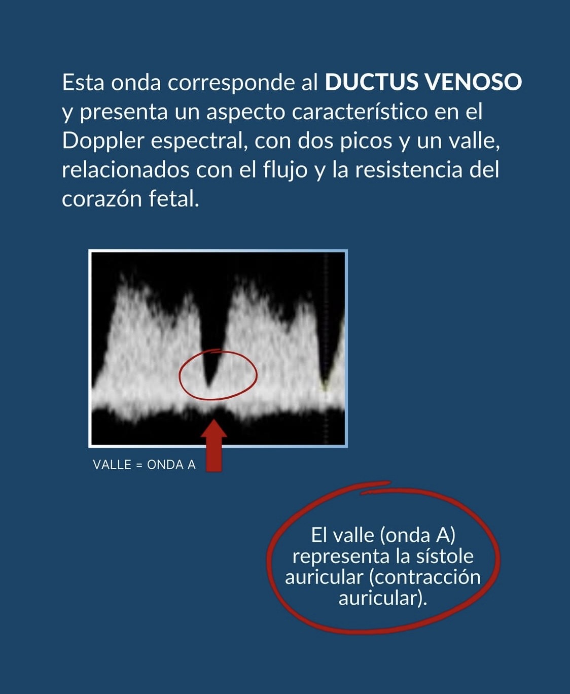 Imagen Tema de la Semana